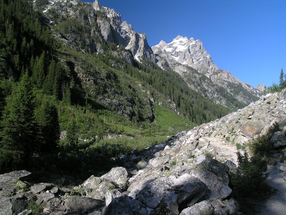 View of Cascade Canyon and trail with Cathedral Group in background.