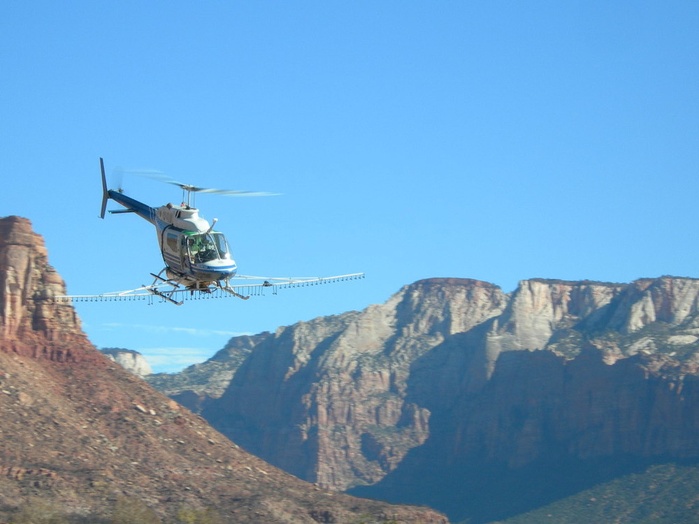 Wildfire Burned Area Emergency Response