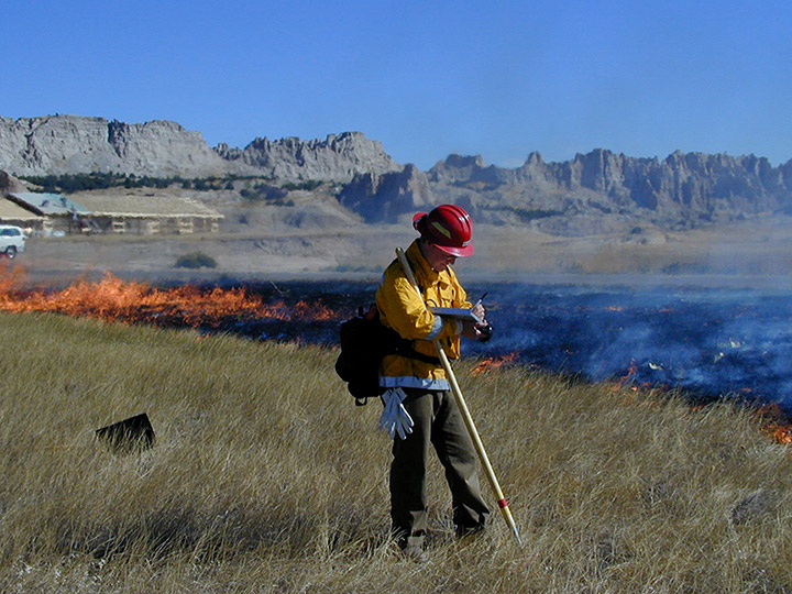 Wildland Fire Monitoring