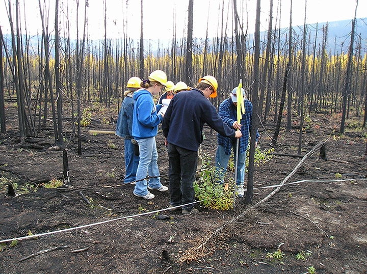 Science and Wildland Fire Research