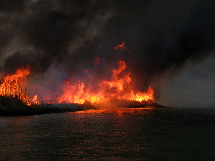 Wildland Fire at Night