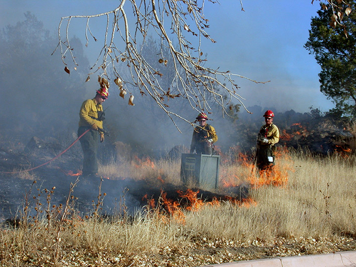 Wildland Urban Interface