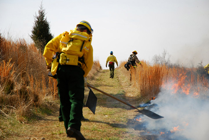 Wildland Fire Hand Tools