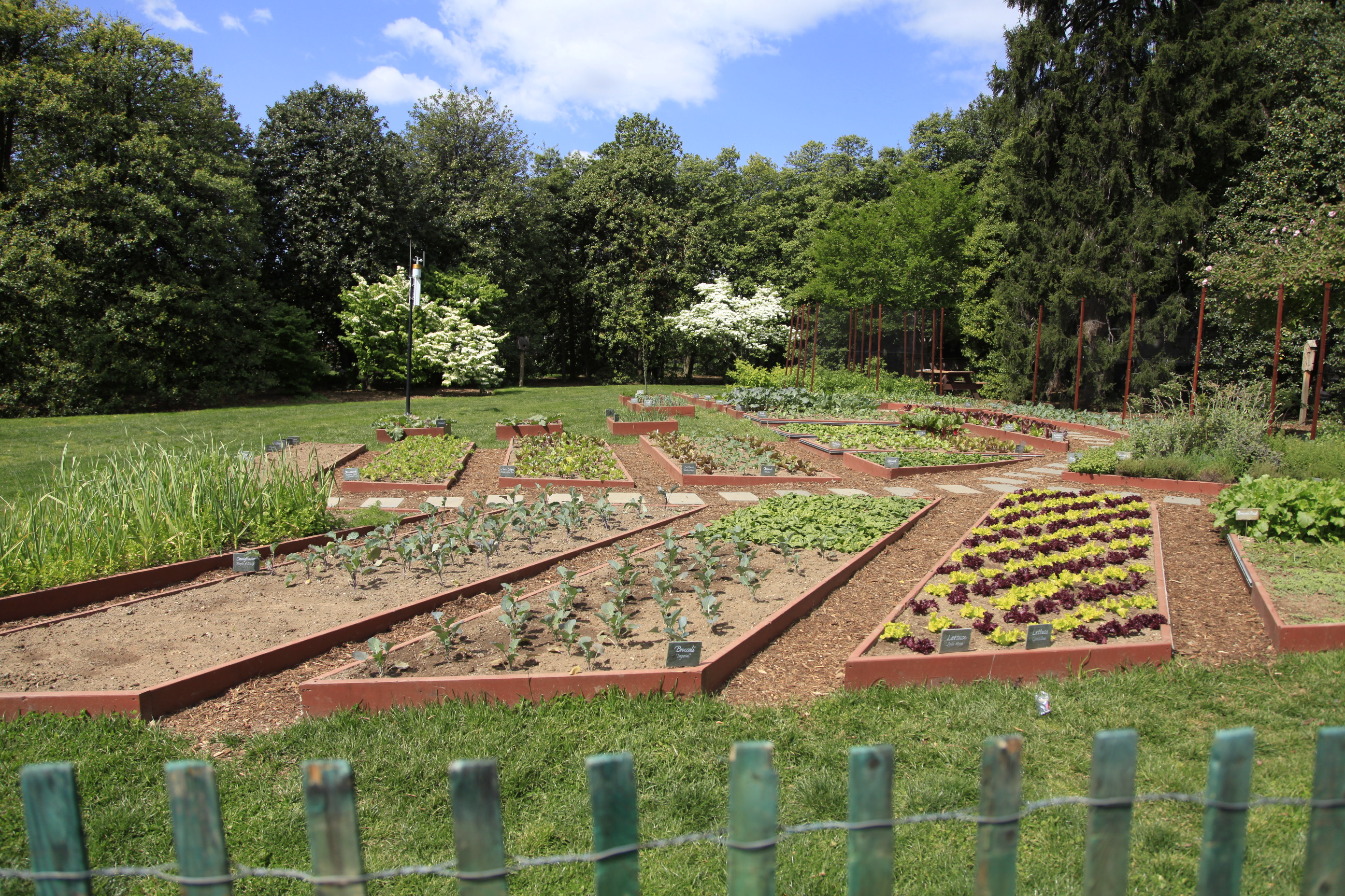 The White House Kitchen Garden