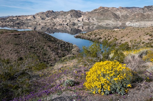 Lake Mead National Recreation Area - Muddy River