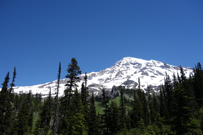 A glaciated mountain peak above forested slopes. 