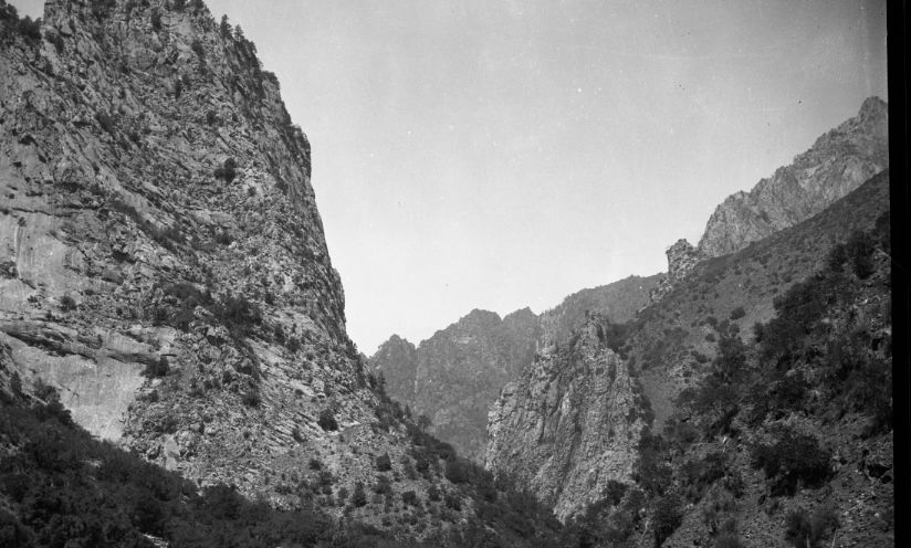 SEKI Roberts Collection Series: 2 Negatives; 12 Scenics