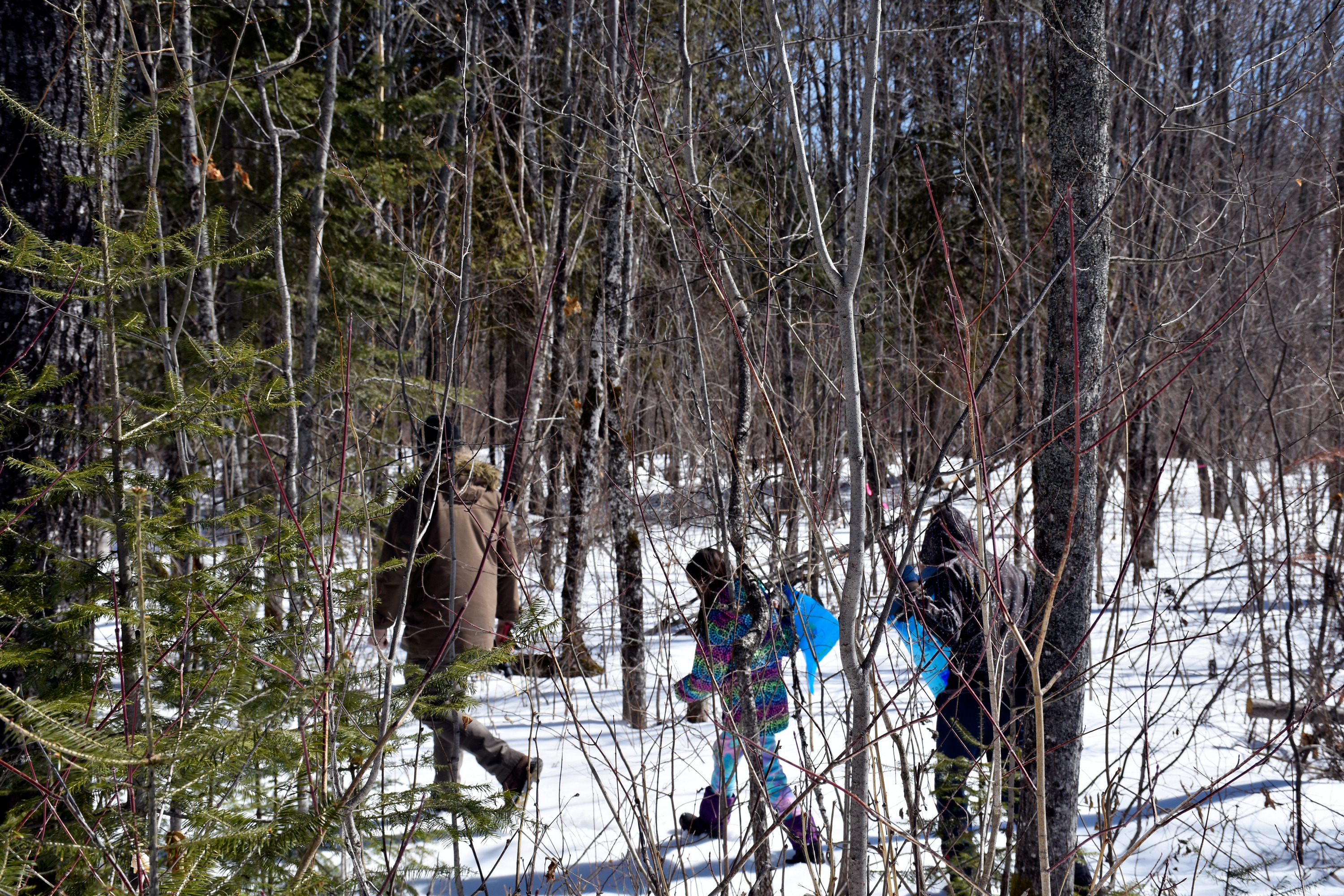 An adult and two children holding blue plastic bags walk on snow in a forest.