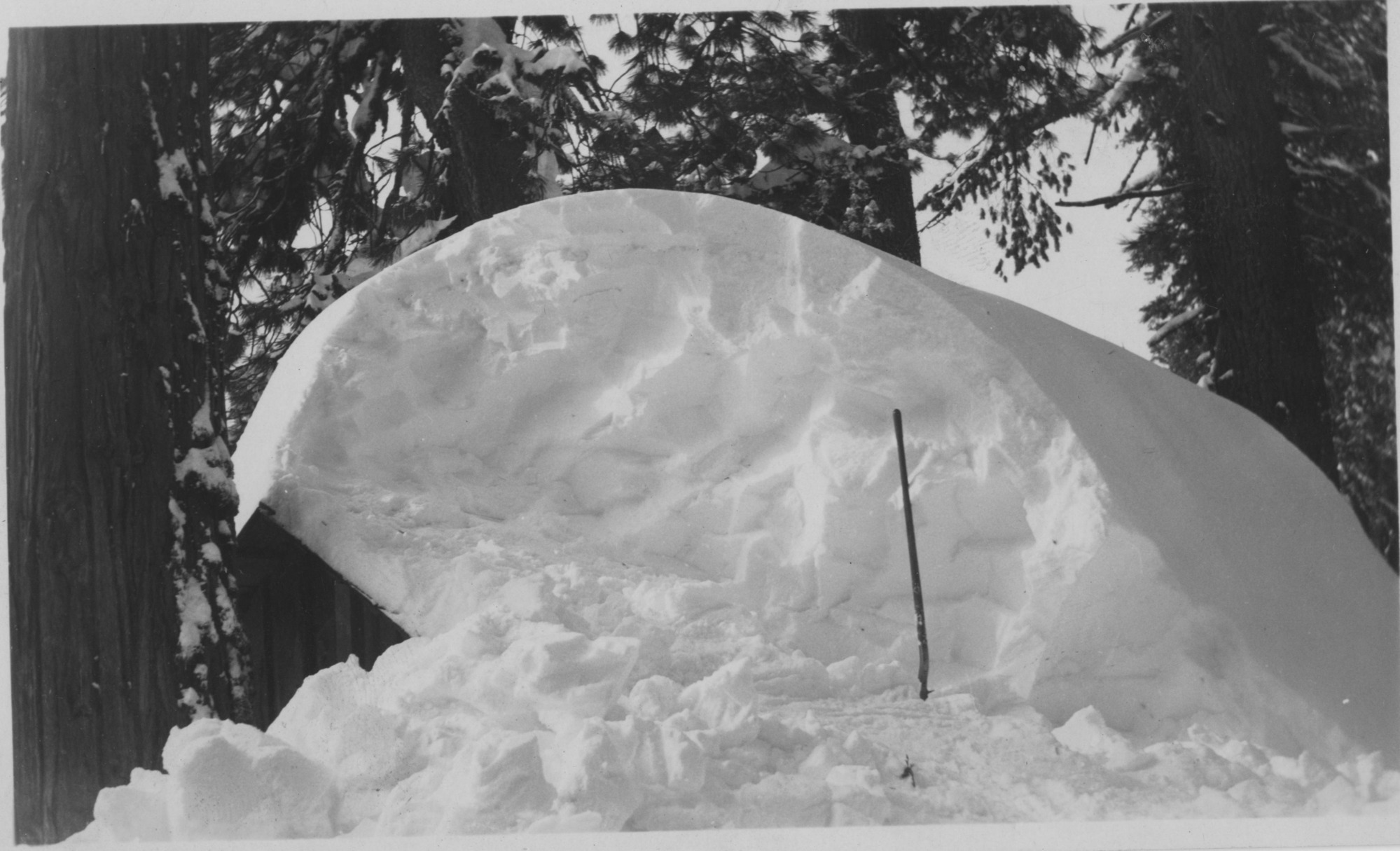SEKI Roberts Collection Series: 3 Prints; 1 Small; 14 Sites and Structures