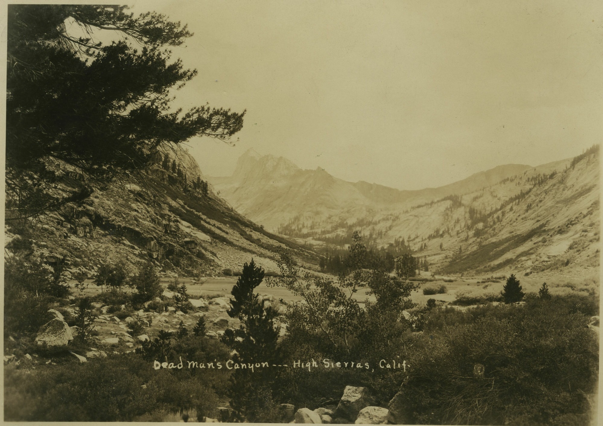 SEKI Roberts Collection Series: 3 Prints; 1 Small; 12 Scenics