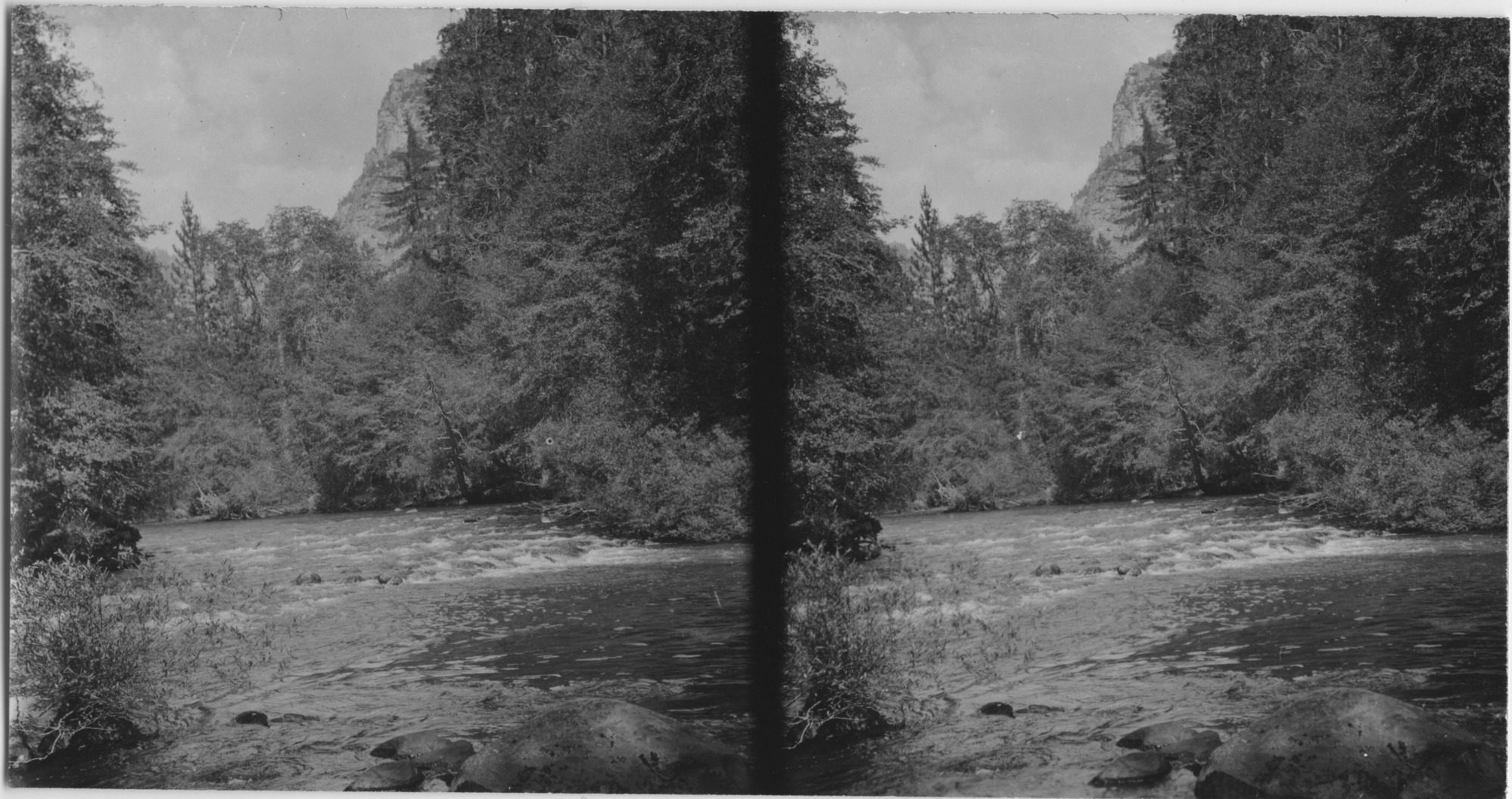 SEKI Roberts Collection Series: 3 Prints; 1 Small; 15 Stereographs