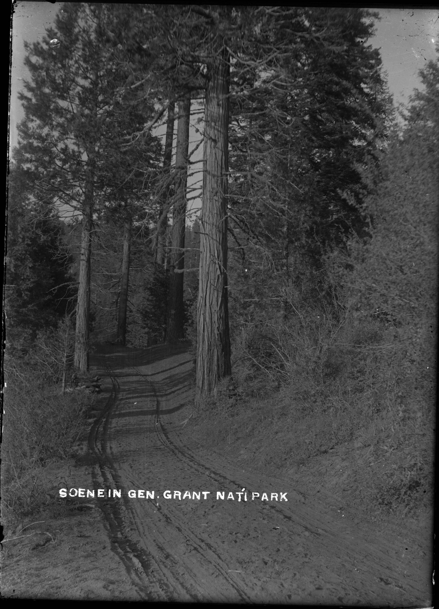 SEKI Roberts Collection Series: 1 Glass Plates; 1 Small glass plates; 12 Scenics