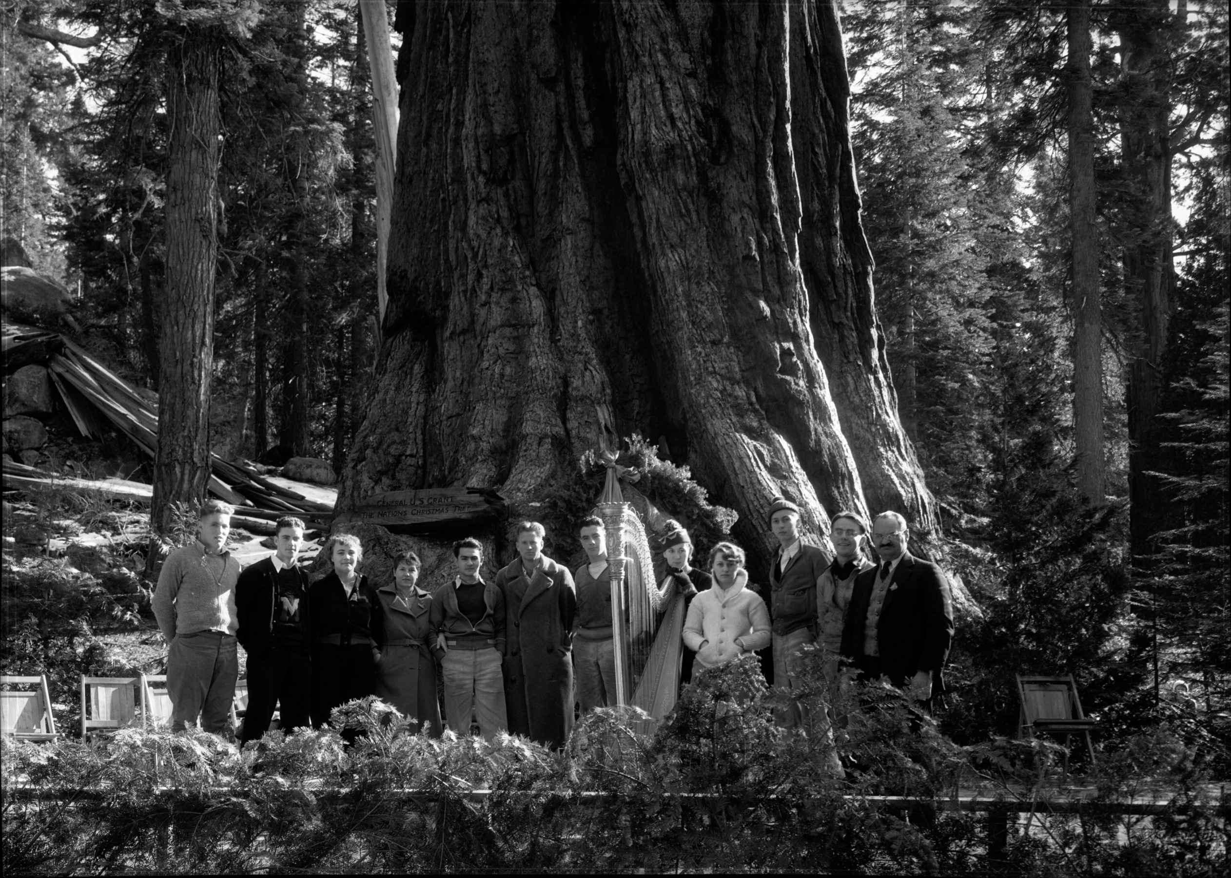 SEKI Roberts Collection Series: 2 Negatives; 13 Sequoias