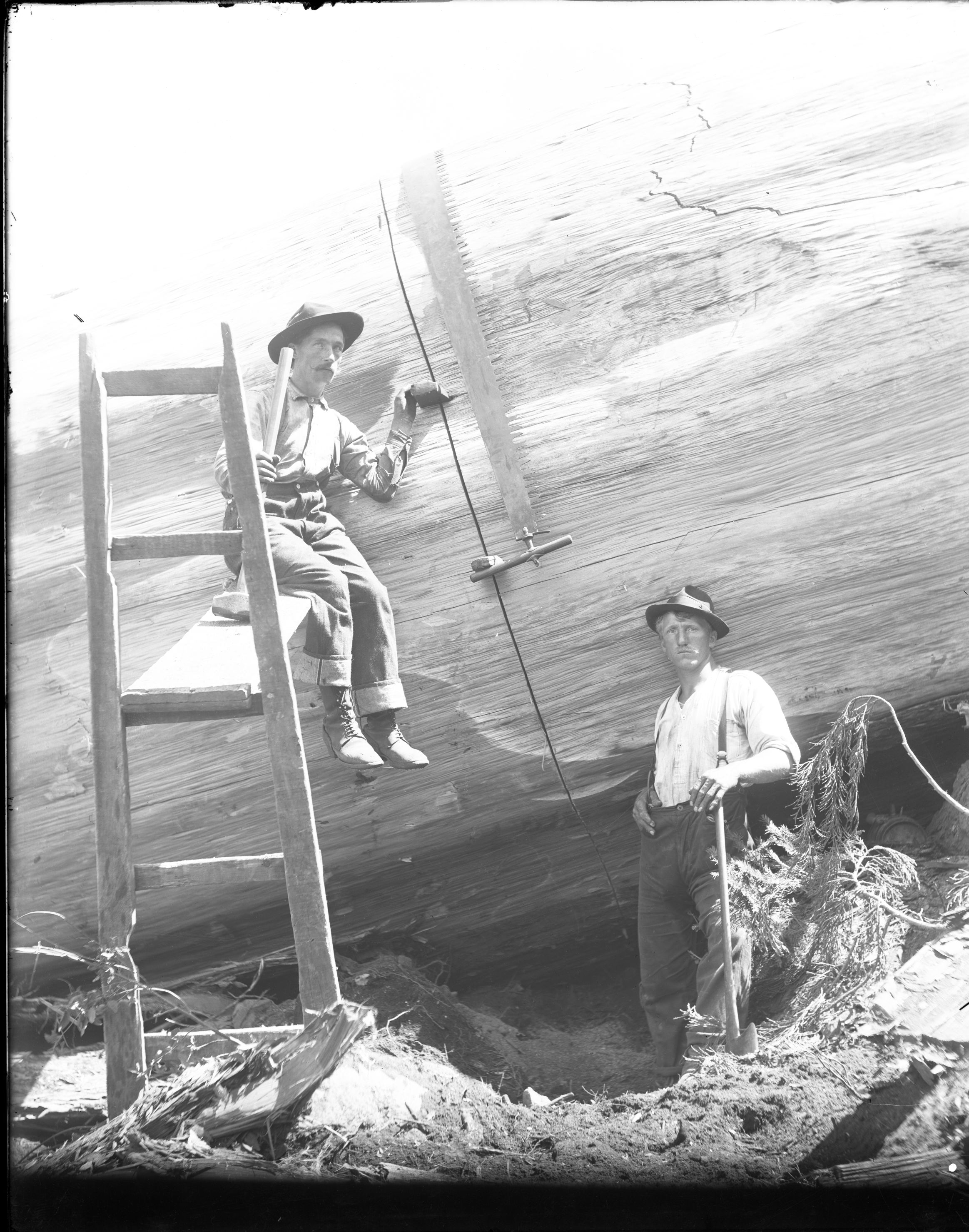 SEKI Roberts Collection Series: 1 Glass Plates; 3 Large glass plates; 8 Logging