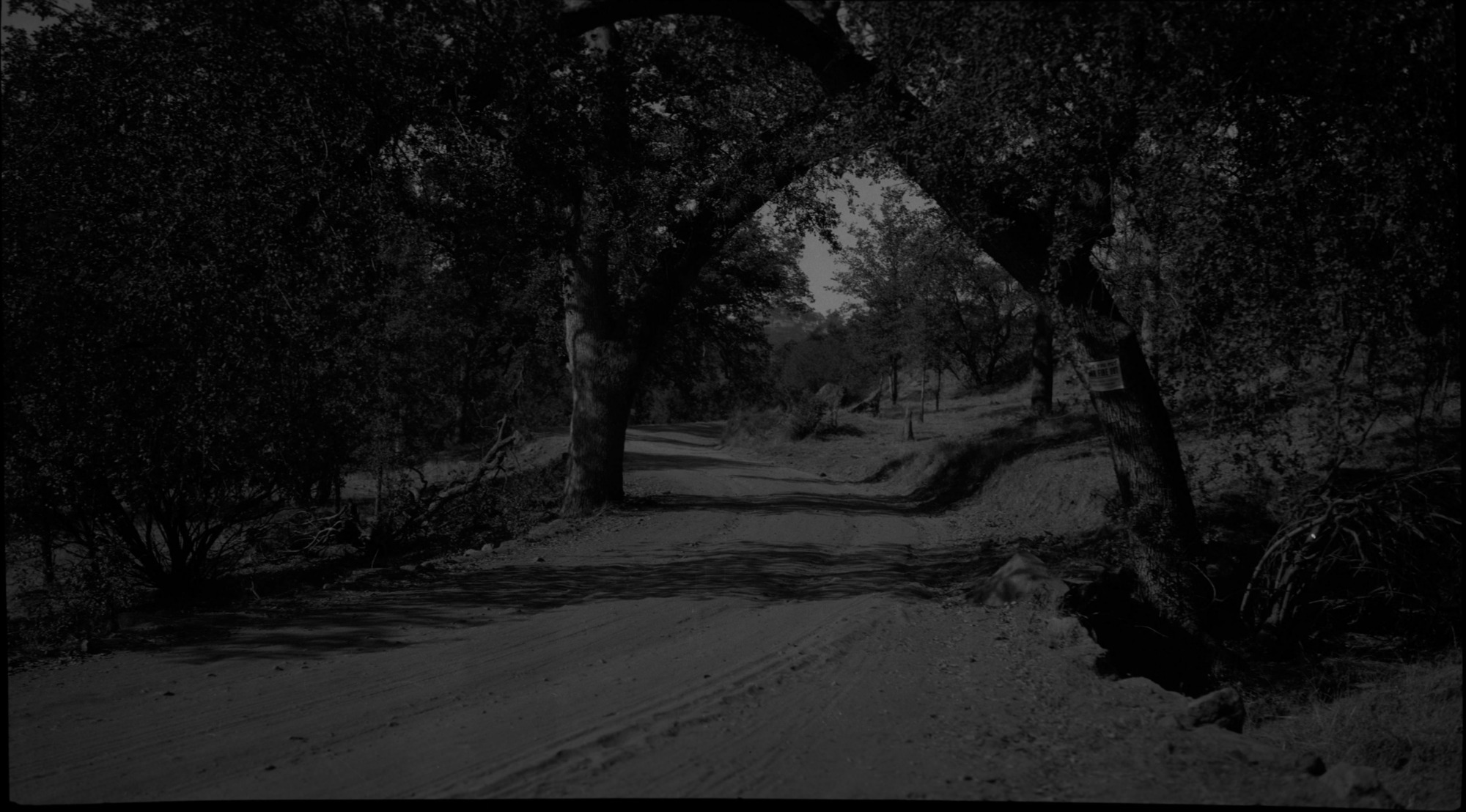 SEKI Roberts Collection Series: 2 Negatives; 14 Sites and Structures