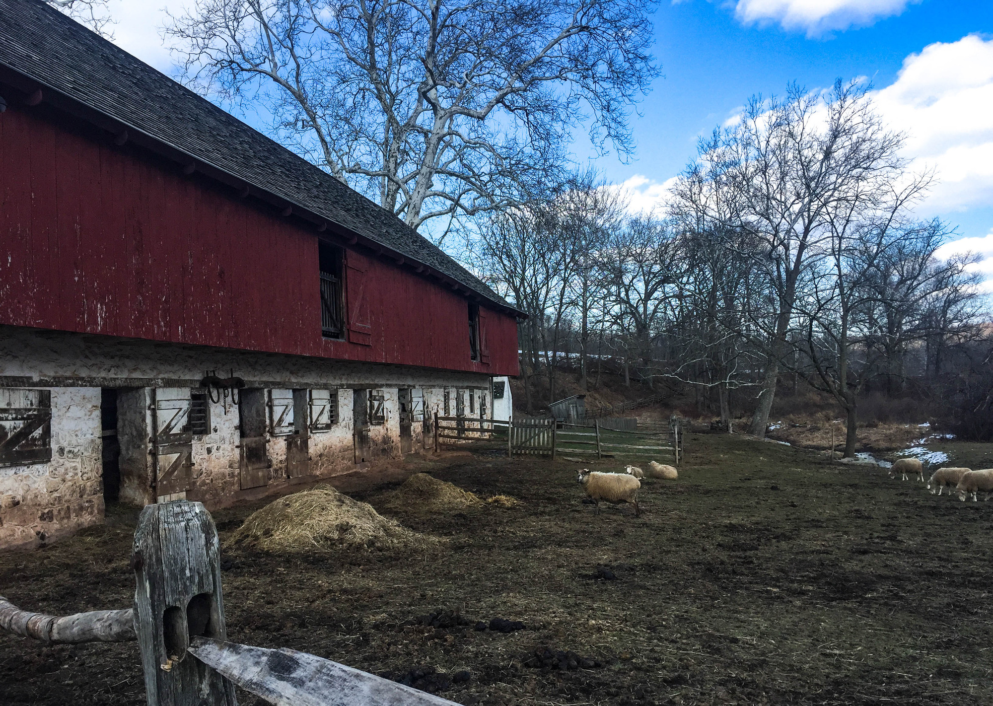 Sheep outside a long red barn