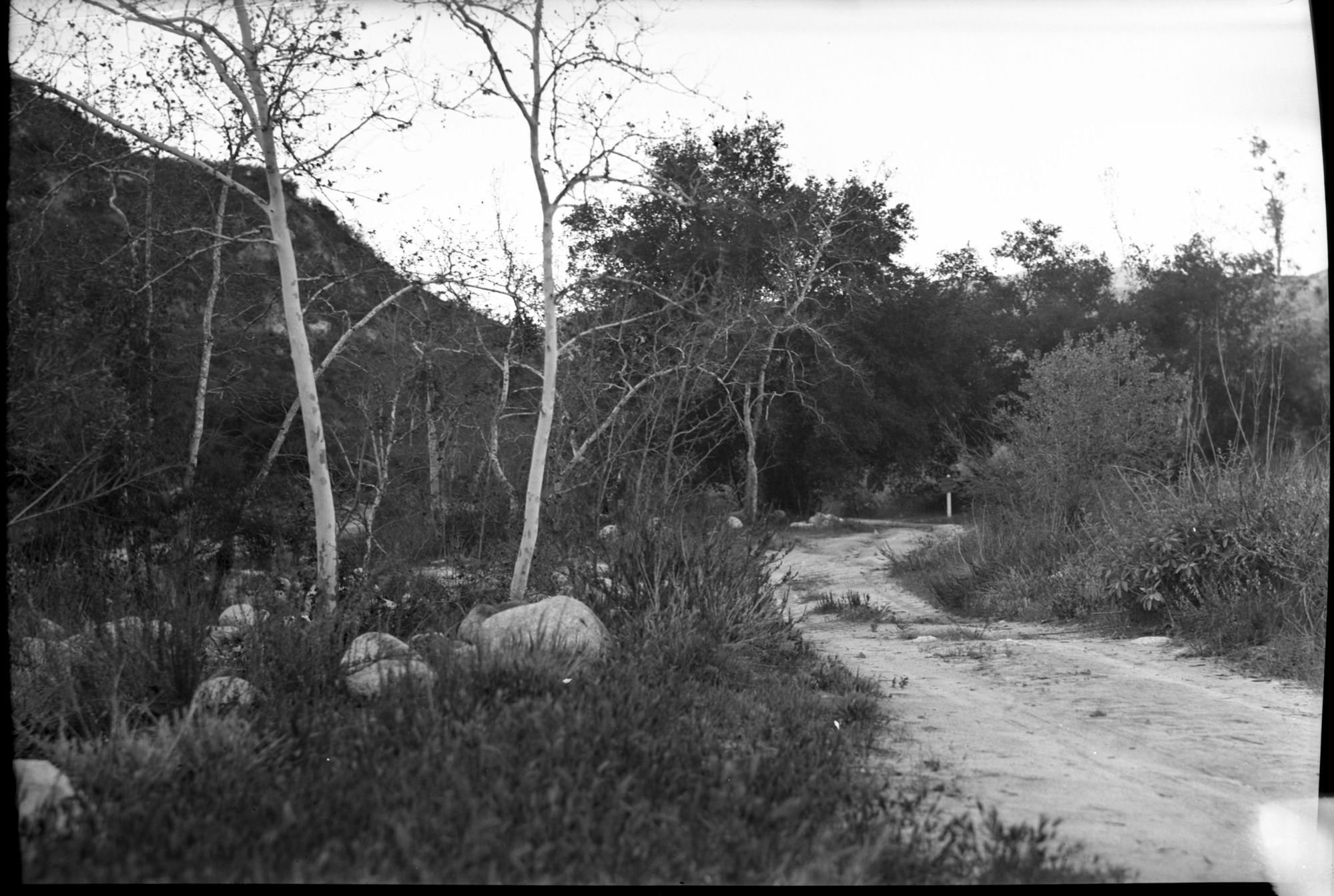 SEKI Roberts Collection Series: 2 Negatives; 5 Foothills