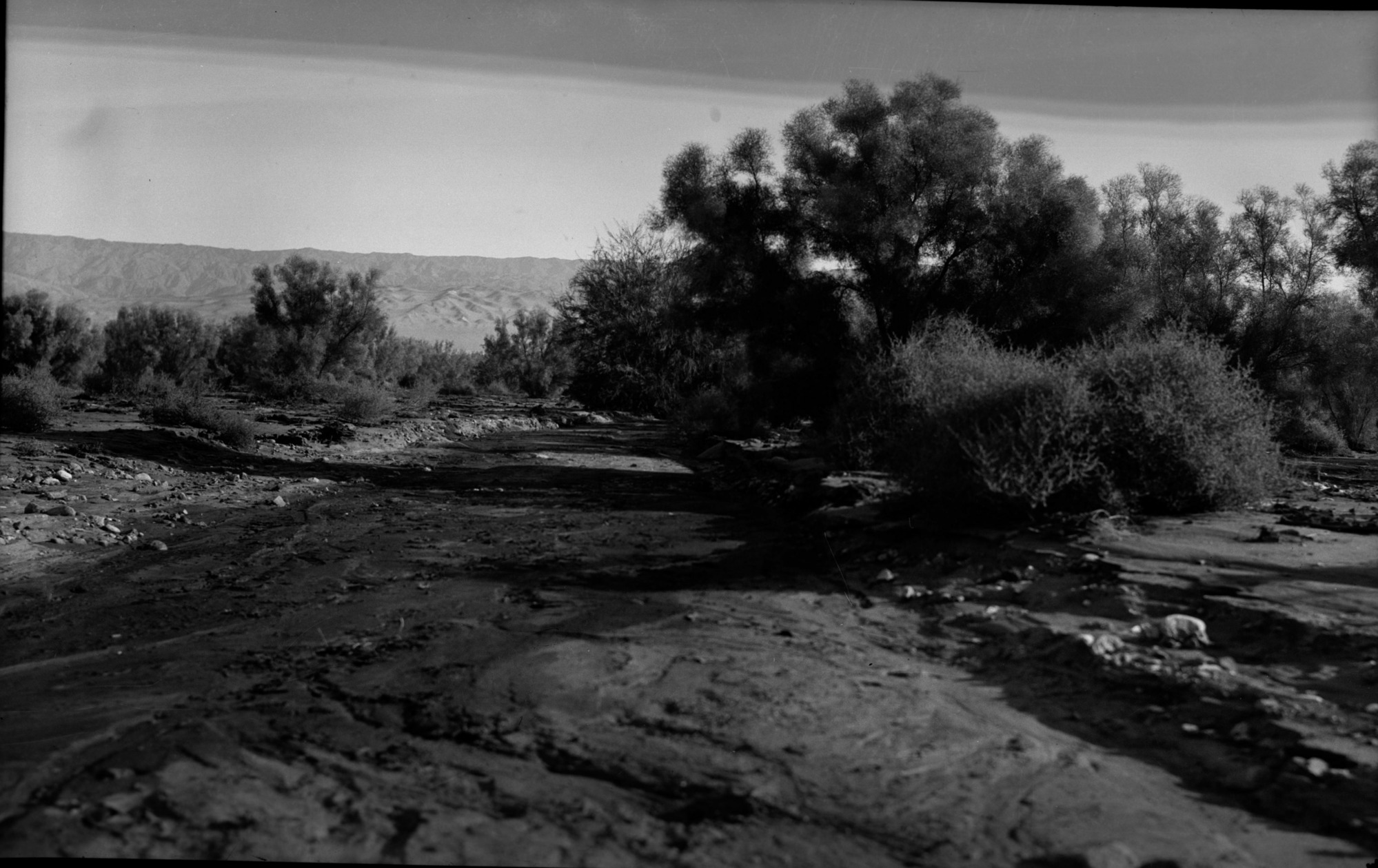SEKI Roberts Collection Series: 2 Negatives; 10 Outside of the Park