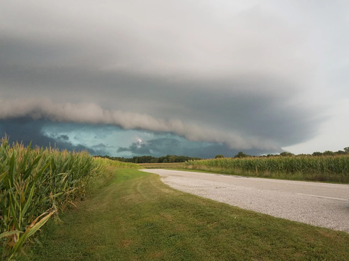 A shelf-shaped dark cloud with lightning hangs over a corn field.  A paved road runs through the middle. 