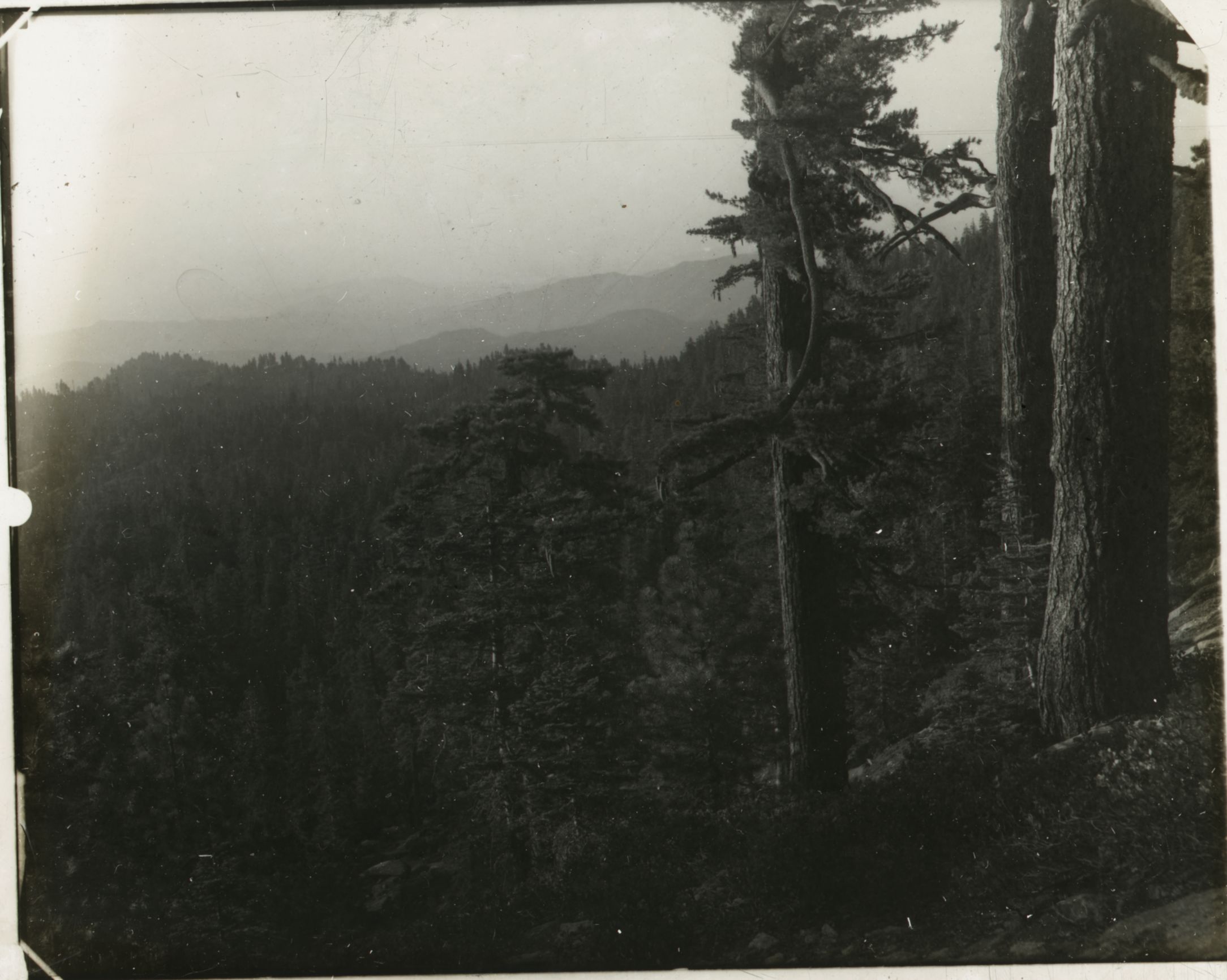 SEKI Roberts Collection Series: 1 Glass Plates; 1 Small glass plates; 12 Scenics