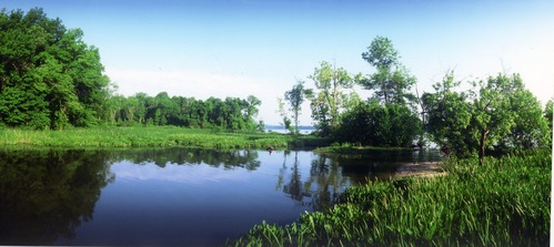 A body of water cuts through high green grass.