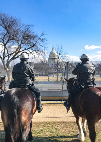 Two horse-mounted U.S. Park Police officers facing the U.S. Capitol building behind fencing