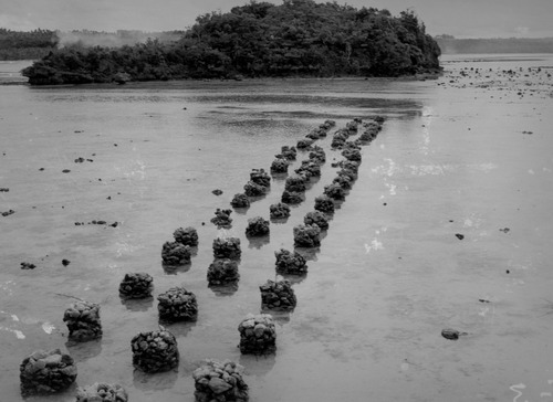 A black-and-white image of man-made rocks forming a line in shallow water, leading to a lush, green island in the distance.