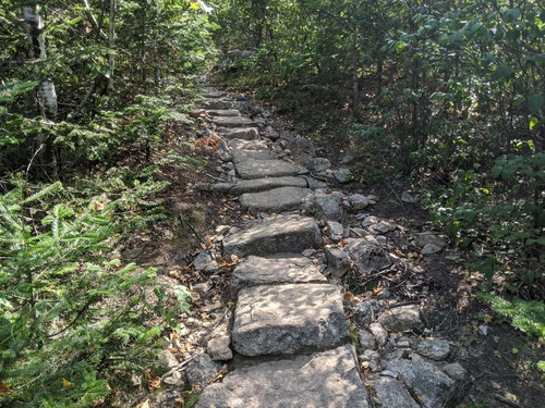 Flat rocks along a forested path