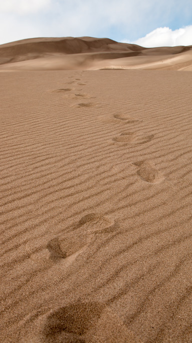 A close up view of some boot prints left in the sand on a dune. 