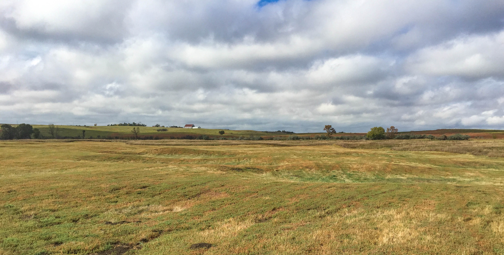 Field with circular impressions of earthlodges 