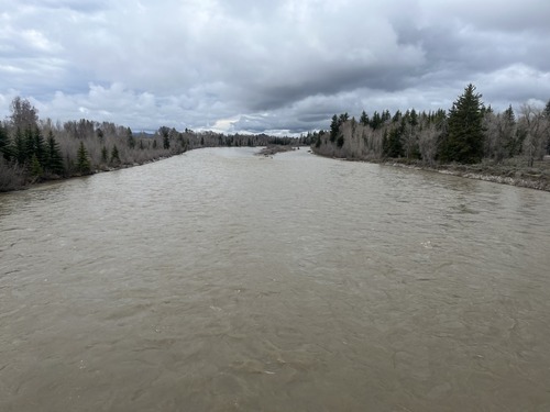 Snake River at Moose, WY looking downstream, May 14, 2024.