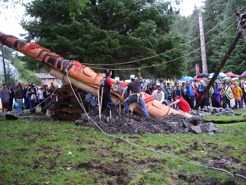 People watch as a totem pole is raised in the traditional way with ropes and human power.
