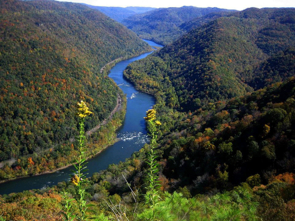 Early fall view from Grandview Rim Trail