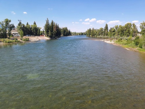 Snake River at Moose, WY looking upstream, July 11, 2024.