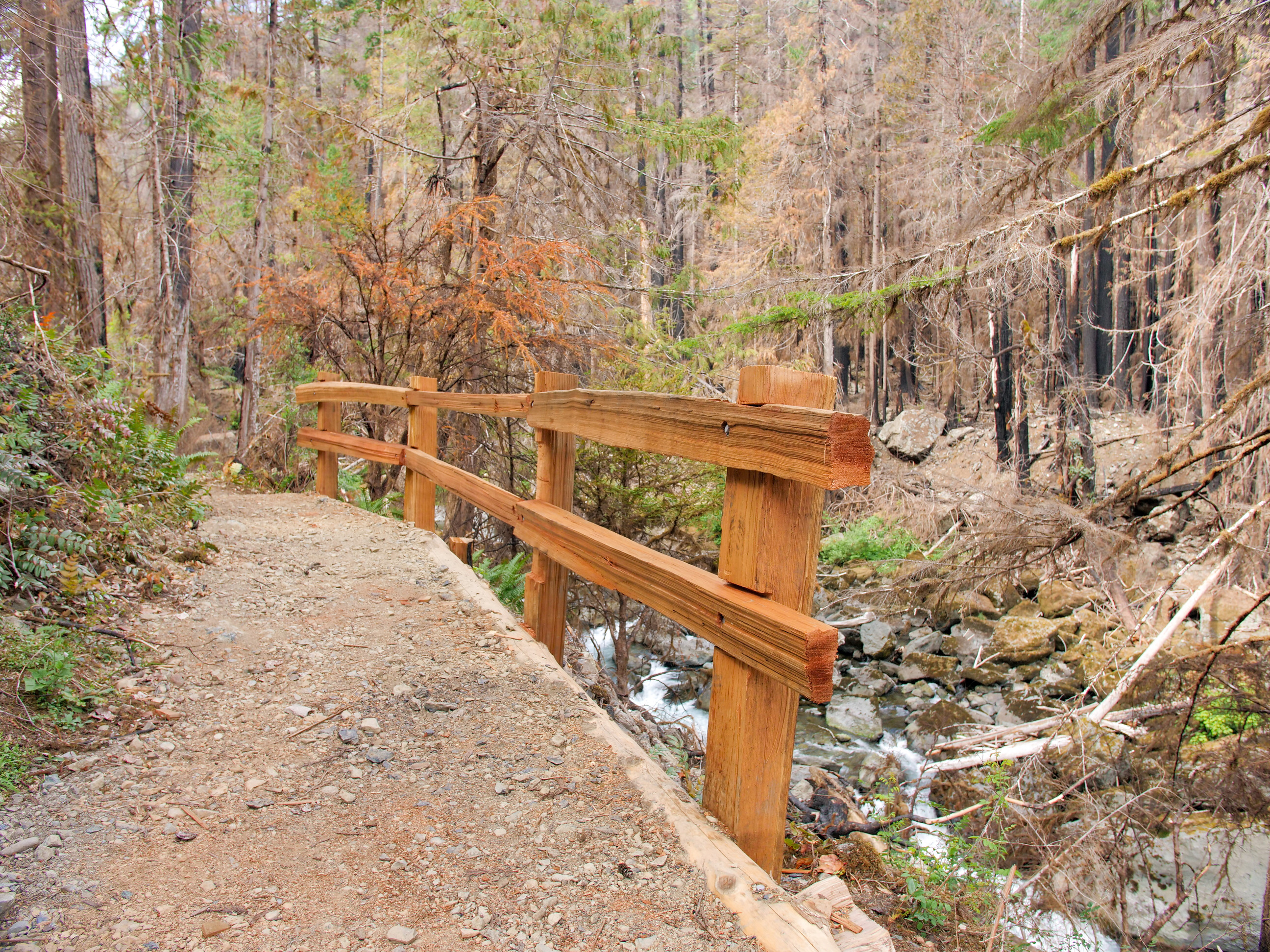 A fresh wooden railing along a steep edge of a trail. Below, a river tumbles over rocks and a forest of burned trees with blackened trunks stands on the opposite bank.