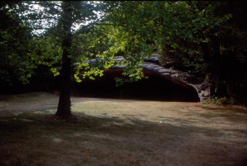 Image of the low, wide opening of a cave.