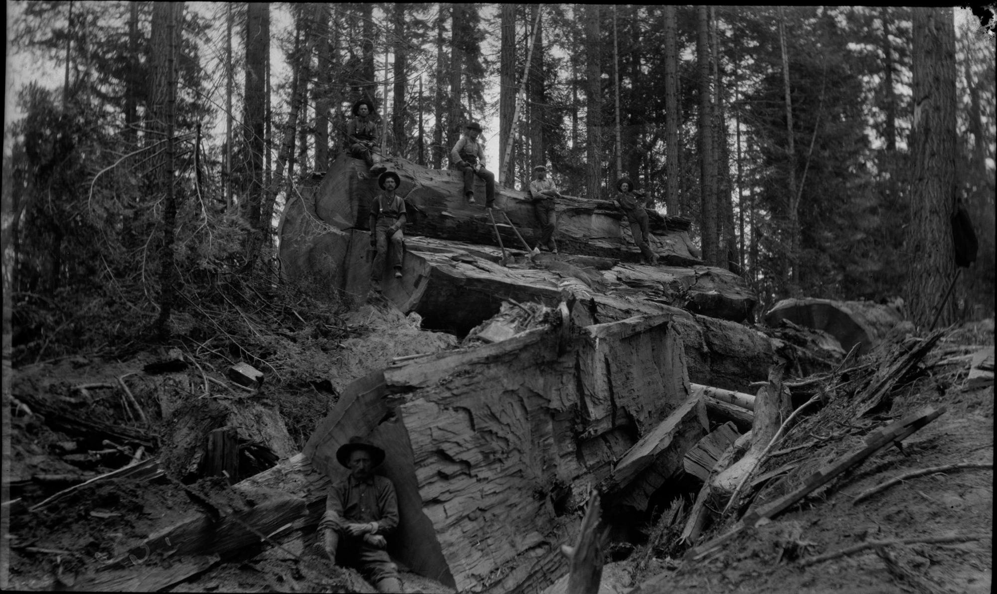 SEKI Roberts Collection Series: 2 Negatives; 8 Logging