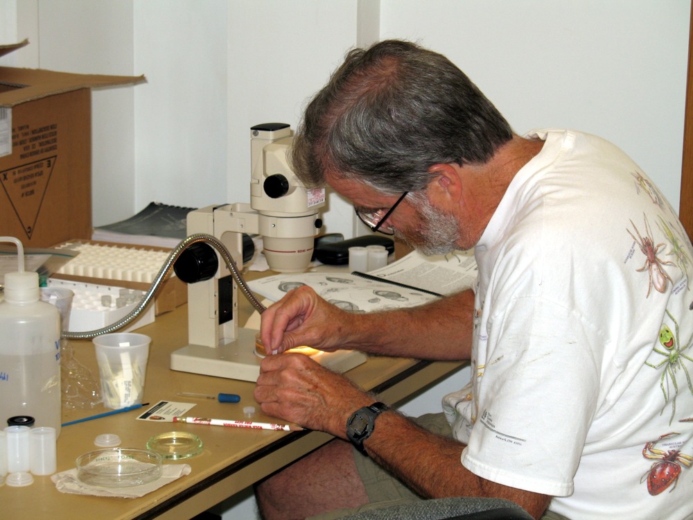 Dr. Rich Bradley spent considerable time identifying species.