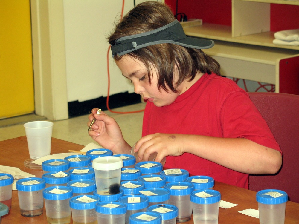 Students were vital participants in the Spider Blitz.