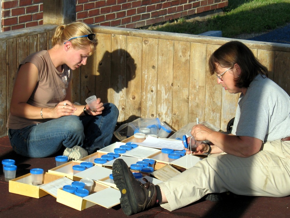 Before specimens were taken into the lab for further sorting, researchers divided samples according to the plots where they were found.