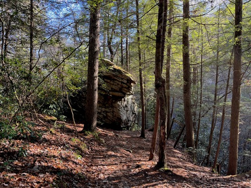 Trail in the woods leading towards a large rock outcrop