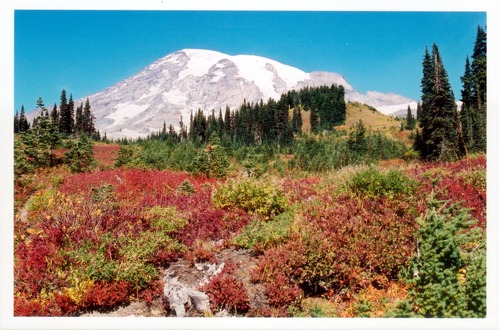A glaciated mountain peak above slopes covered in red and orange fall foliage. 