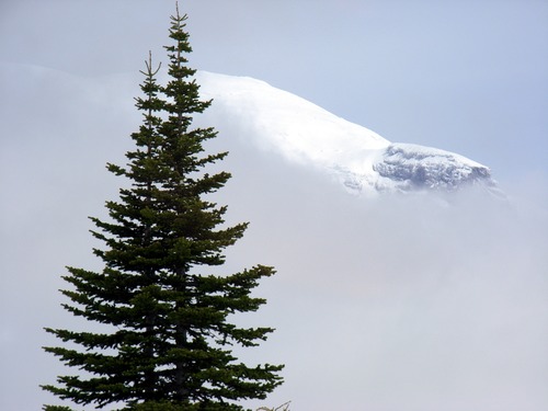 The edge of a mountain peak visible above clouds and the silhouettes of two conifer trees. 