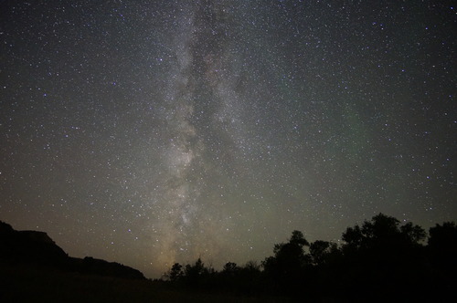 The Milky Way shining above a silhouetted treeline.
