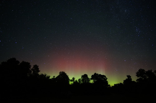 The Aurora Borealis shines green and pink in a starry night sky behind a silhouette of trees.