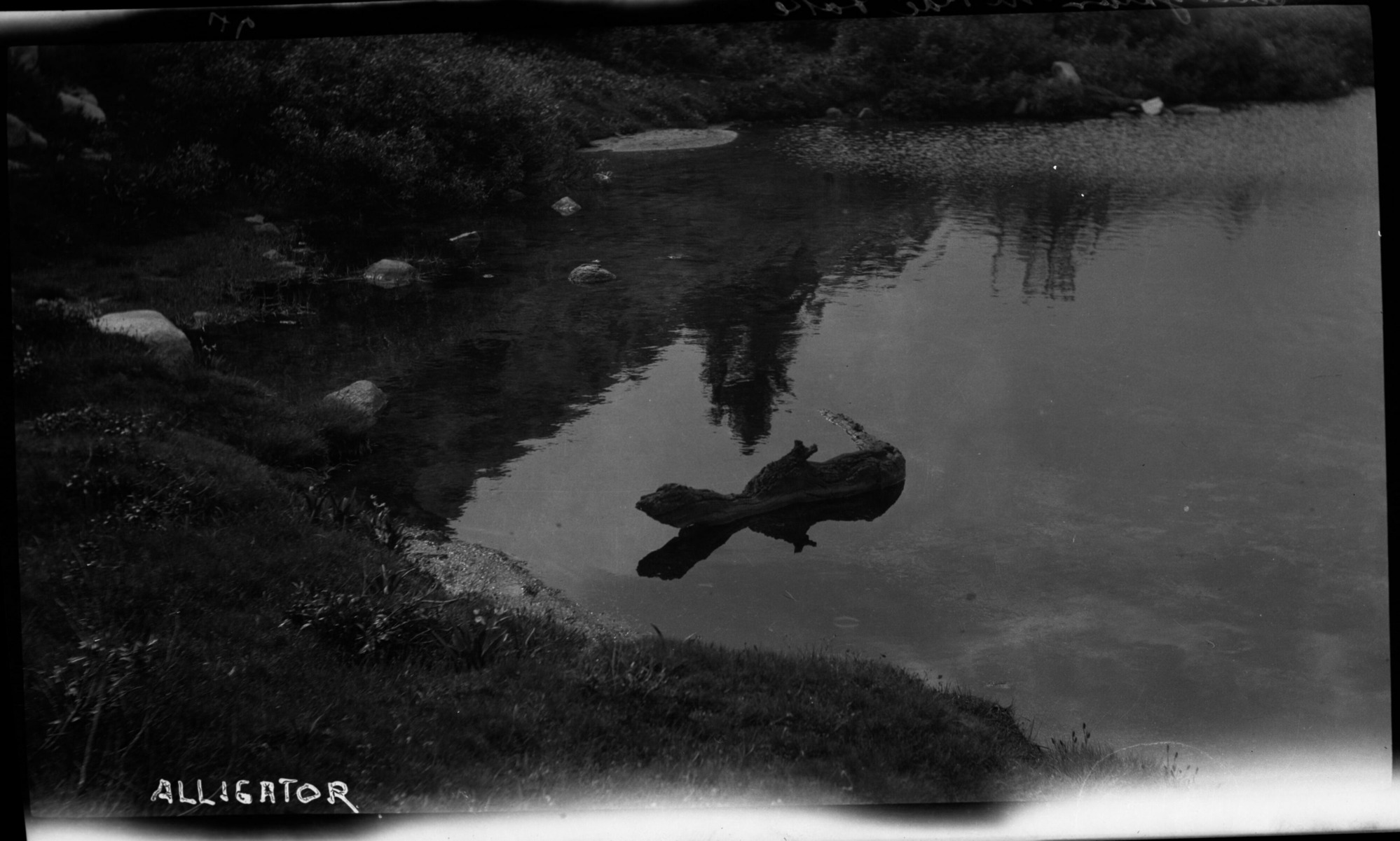 SEKI Roberts Collection Series: 2 Negatives; 6 Lakes