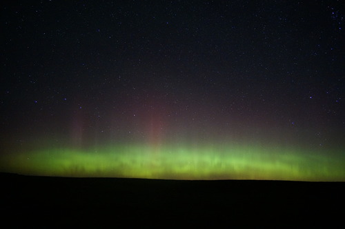 The green and pink curtain of the Aurora Borealis in a starry night sky.