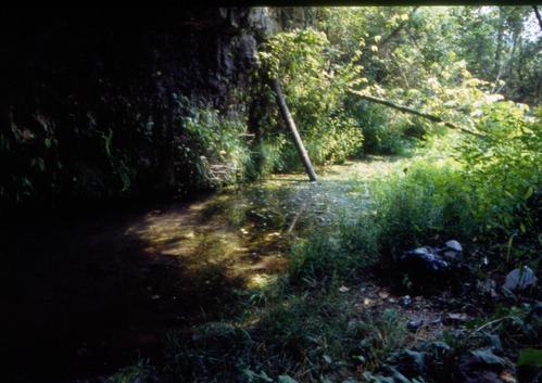 Image of a creek flowing from a cave entrance.