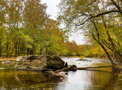 Boulder in a shallow river in a forest
