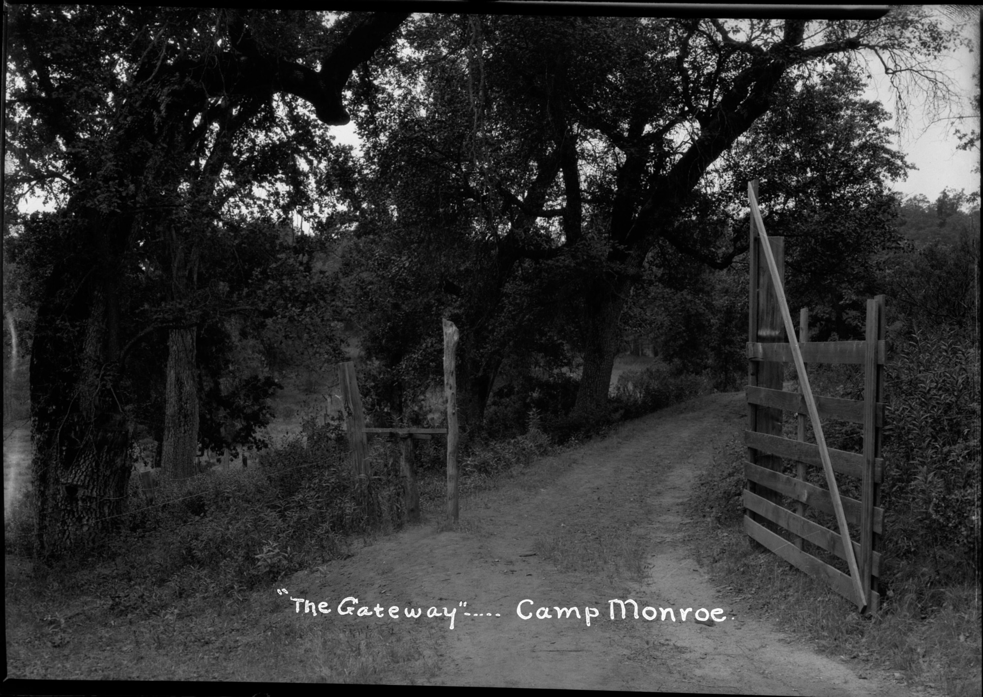 SEKI Roberts Collection Series: 2 Negatives; 14 Sites and Structures